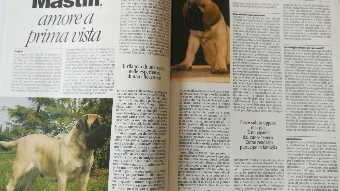 I nostri cani luglio 2008