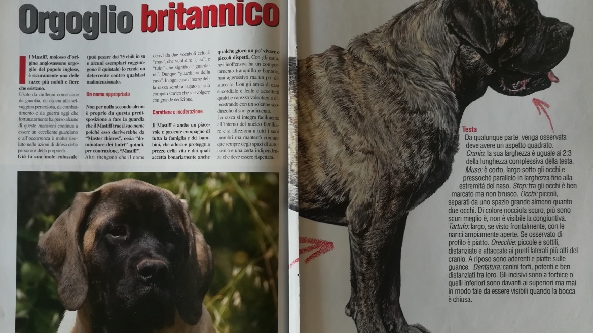 RIVISTA IL MIO CANE 2007