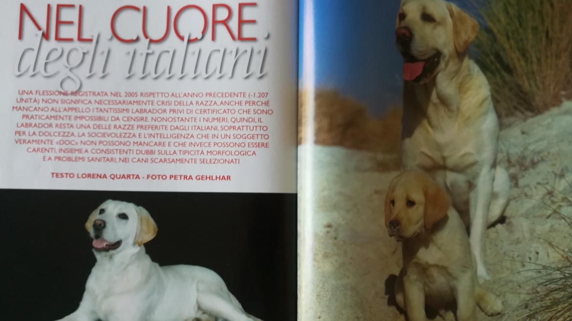 Cani una rivista di razza novembre 2006