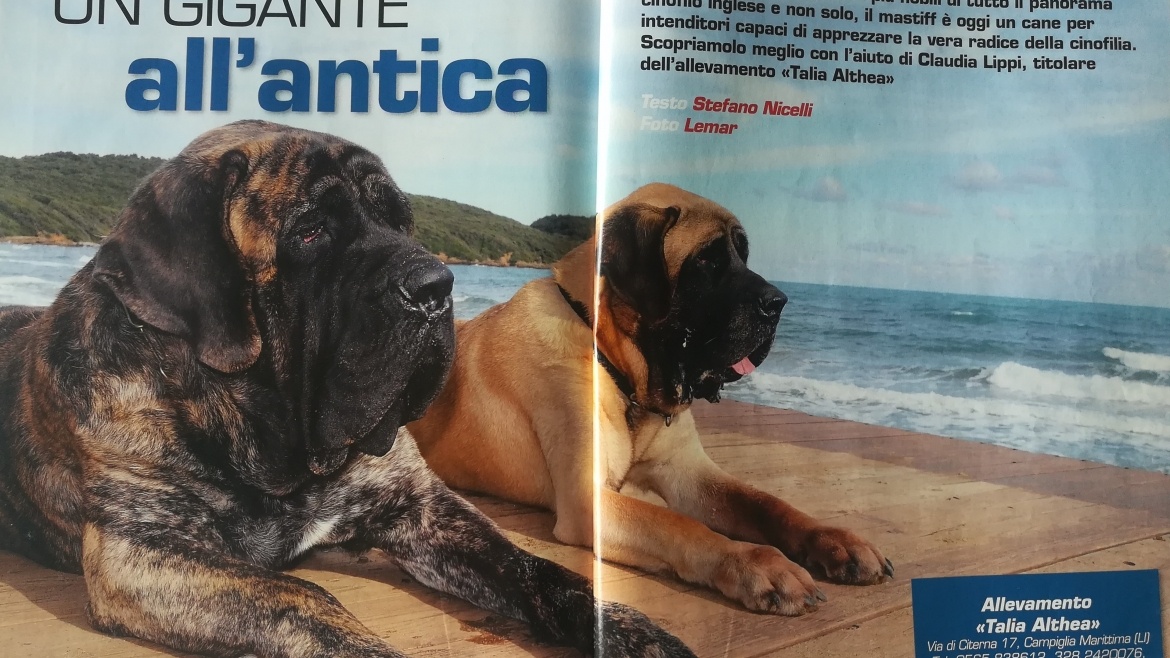 Cani una rivista di razza settembre 2010