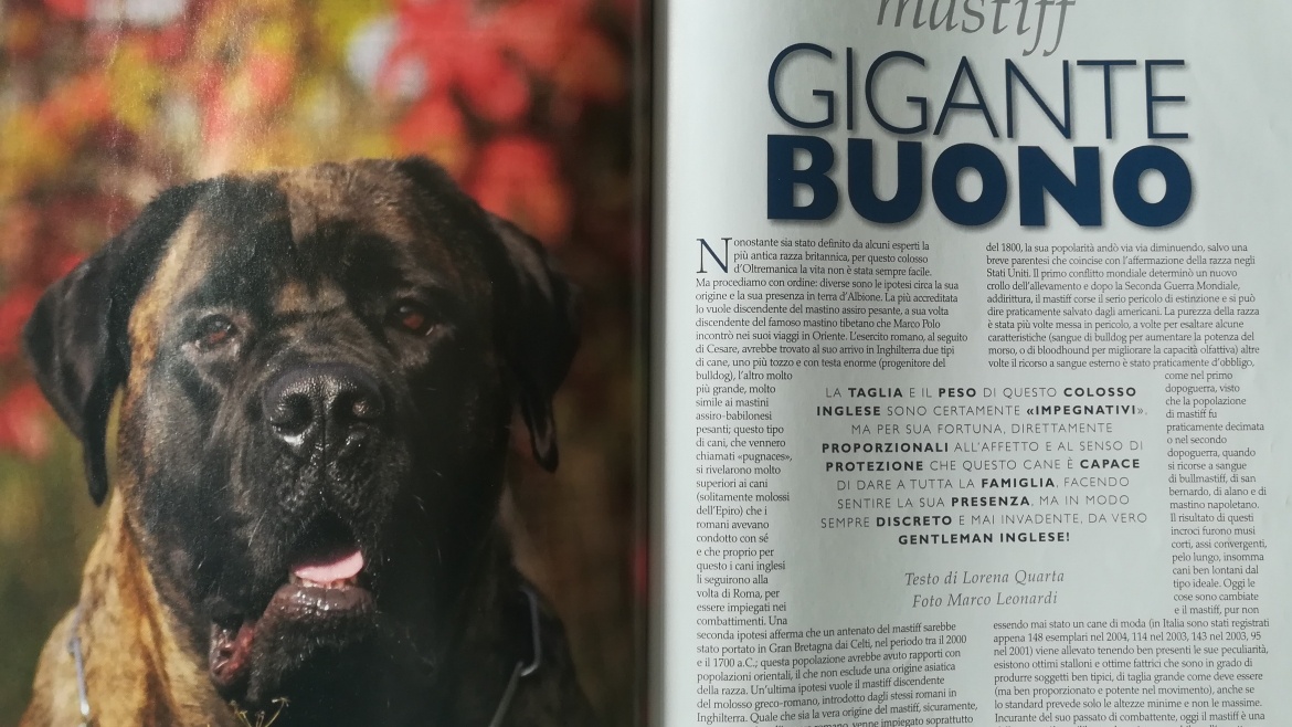 Cani Rivista di razza gennaio 2006