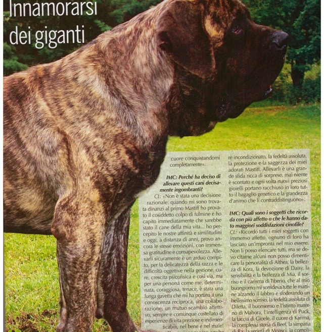 Il Mio Cane – Novembre 2017