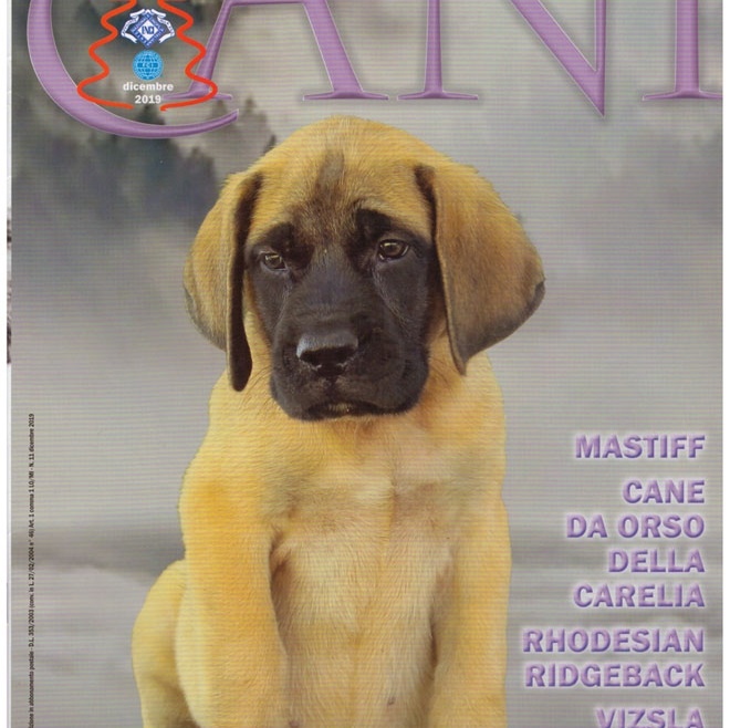 I Nostri Cani N° 11 – Dicembre 2019