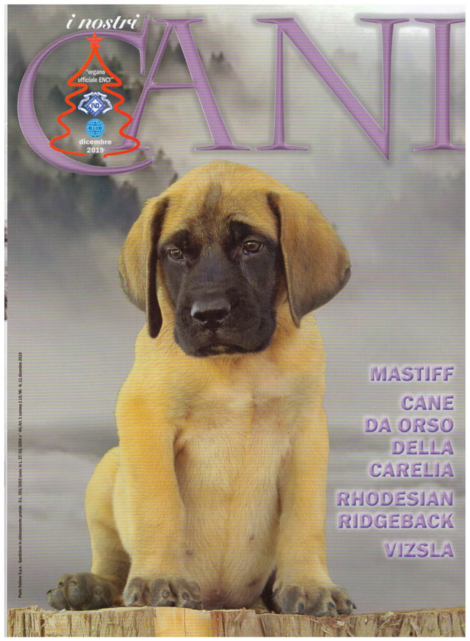 I Nostri Cani - N° 11 - Dicembre 2019